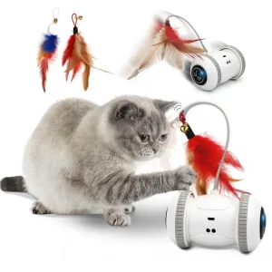 jouets pour chats intelligents, jouets pour animaux de compagnie, vente en gros