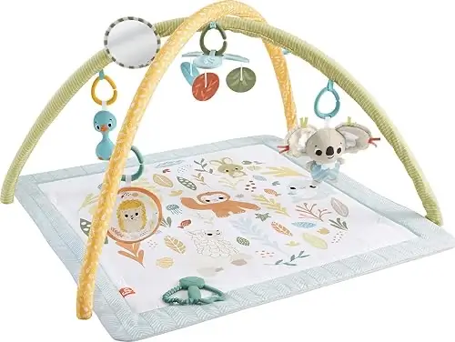 Jouets Fisher-Price